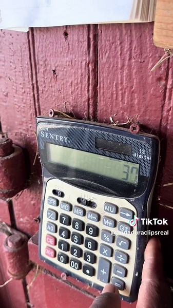 Descubriendo la vida Amish: un día único