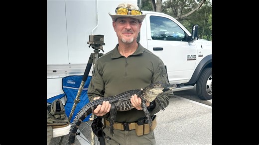 1.9K views · 24 reactions | #YourFDLE agents, analysts and Special...