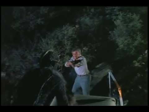 Gargoyles - Gargoyle attack!