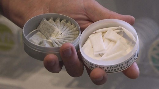 DAK: Schüler konsumieren Nikotinbeutel