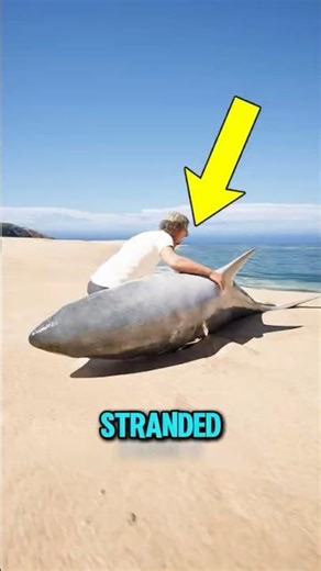 Helping a Stranded Shark Don’t Do This Mistake 😱