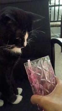 Beet Juice Made Him Do the Fastest Head Turn in History.