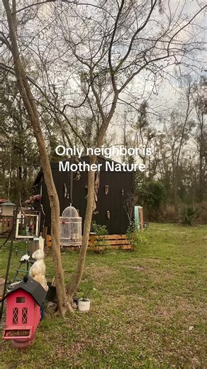 Country life-No neighbors-just us and Mother Nature