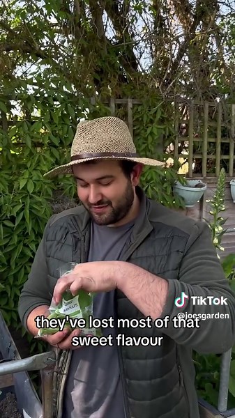 Today we are back, and I am showing you how to grow my all time favourite crop, the garden pea! Now before you think that peas are boring and I’m crazy, there is some science to back me up here 🤣 As soon as peas are harvested, their natural sugars start to turn to startch (I’m not a scientist so this is my best explanation 🤣🙏) causing them to lose flavour. By the time they get to the stores they are bland and horrible. So the only way to taste what garden peas actually taste like is to grow t