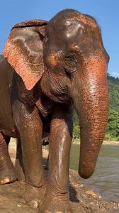 99K views · 8.9K reactions | Bath time with Gina!  Isn’t she...