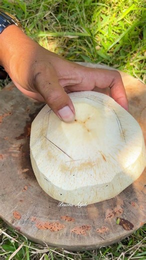 Easy Way to Crack a Hard Coconut Shell #coconut #cuttingskills #asmr #food