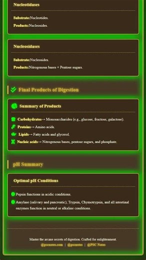 Enzymes of Digestion: Types, Substrates, and Products