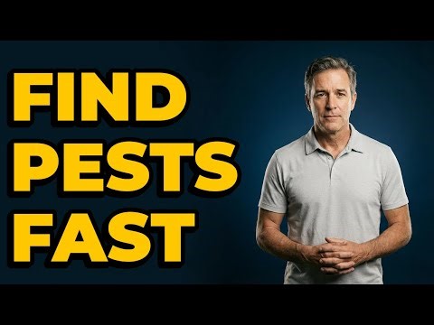 What Are Essential Tools To Find Pests Around My Home?