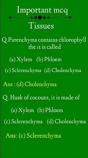 Tissues Class 9 MCQs Questions with Answers |Tissues MCQ Class 9 Science Chapter 6