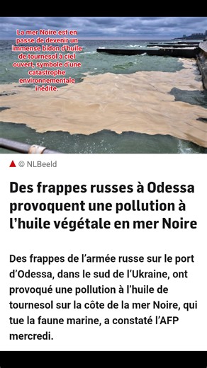 😐🇺🇦🇷🇺💥Les frappes russes visant des infrastructures portuaires et logistiques autour de la mer Noire ont provoqué d’importants dégâts collatéraux. Parmi eux, le déversement massif d’huile de tournesol en mer, issu de silos et d’installations de stockage touchés par les bombardements. Cette pollution, inhabituelle par sa nature mais tout aussi nocive, transforme par endroits la mer Noire en une véritable nappe huileuse à ciel ouvert. Au-delà de l’impact militaire, ces frappes engendrent une