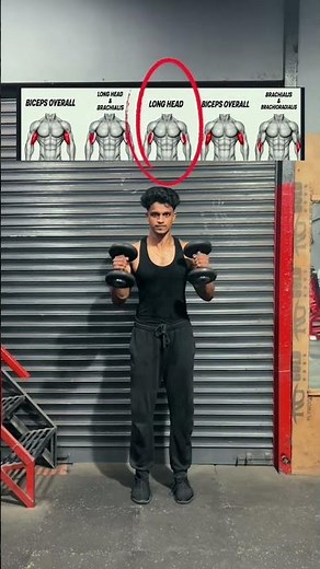 Build Bigger Biceps With Only Dumbbells (Best Arm Workout)