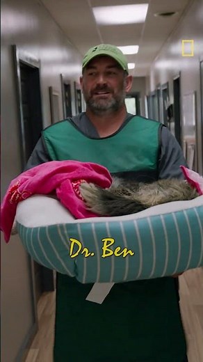 New Season | Heartland Docs, DVM | National Geographic MENA