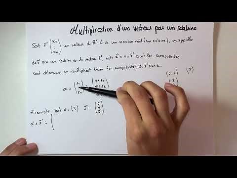 Comment multiplier un vecteur par un scalaire ? Mathématiques 2