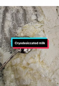 Cryodesiccated Milk Powder: Double Milk for Barista Championship