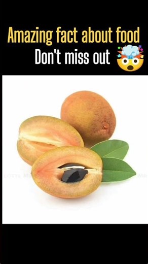 Amazing facts about food 😱 |mind blowing facts in Hindi and Urdu #facts #interestingfacts #factmine