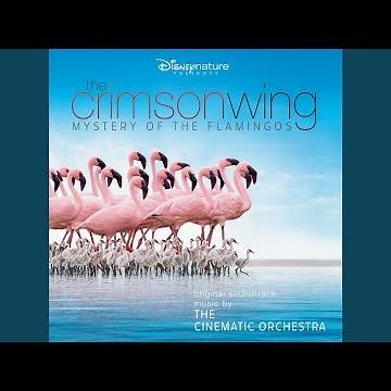 Arrival of the Birds