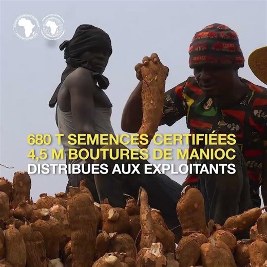 Emergency Food Production Project – Central Africa Republic