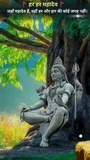 #zarooratrishta #aliza #alizasehar