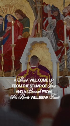 Creative of the Immaculata on Instagram: "He is the “Netzer” the Branch foretold! From Jesse’s Stump, born in Nazareth. Netzer is the Hebrew word for branch or sprout. It is also the linguistic root behind the name Nazareth (Natzrat) and the title Nazarene. Idk something new I learned. Perfect for the start of Advent! This was taken from my recent trip to the Epiphany of the Lord in Tampa! It is now being run by the ICKSP! #catholic #catholicfaith"