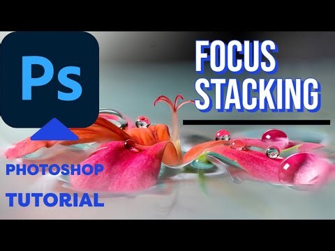 How To | Focus Stack images in Photoshop 2022 | Macrophotography