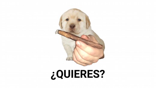 ¿Quieres? | Know Your Meme