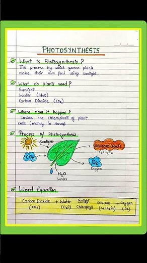 Photosynthesis Process & Importance/What is Photosynthesis ? #science #boilogy #education #learning