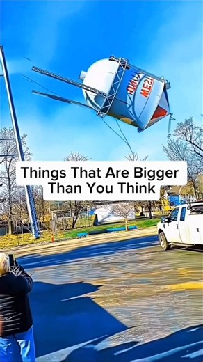 Things That Are Bigger Than You Think#shorts#ytshorts