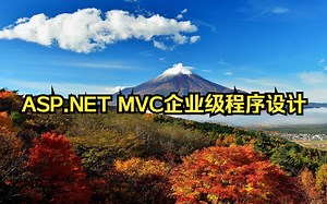 ASP.NET MVC企业级程序设计 T4