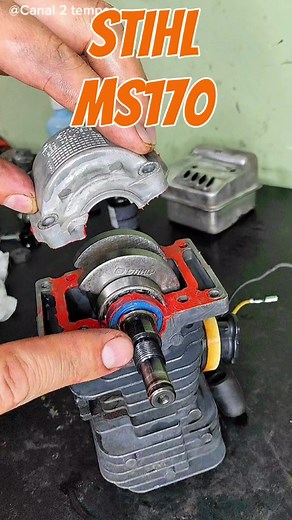 Stihl MS170 Chainsaw Assembly and Operation Guide