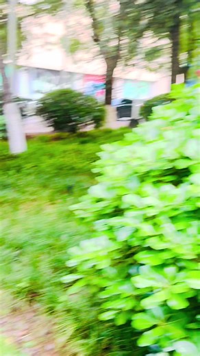 royal_ata_star_official على TikTok