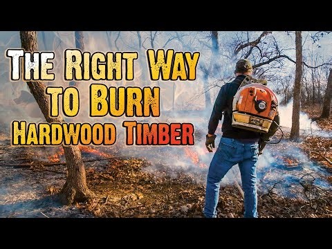 Hardwood Timber Fire Mistakes That Destroy Deer Habitat!