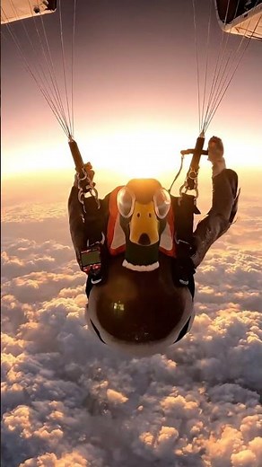 Watch a Duck Skydive Through the Clouds!