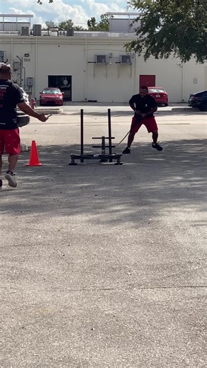 Why Sled Fitness Training at NPTI Florida? Sled training improves Unilateral lower body strength. Heavy sled pushed and heavy sled drags are great for improving unilateral lower body strengh. Just load up the sled with as much weight as possible and push or drag it for the desired distance. Aim to push a sled for eight sets of 20-30 second intervals. #sledpull #sledfitness #npti #nptiflorida #veterans #veteranowned #nationalpersonaltraininginstitute #personaltrainer #fafsa | NPTI Orlando