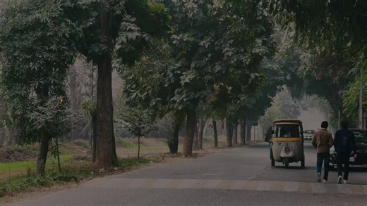 Exploring University Life at Punjab University Lahore