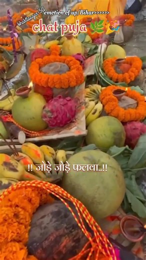 🌿jode jode phalwa song 🙏|chhath puja reels| #chat #chathgeet #pawansingh#ytshorts #explore