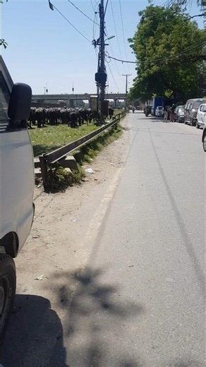 World street view No 01 #WorldStreetView #StreetView #VirtualTravel #WalkingTour #DrivingTour