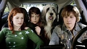 Watch The Shaggy Dog (2006) | Prime Video