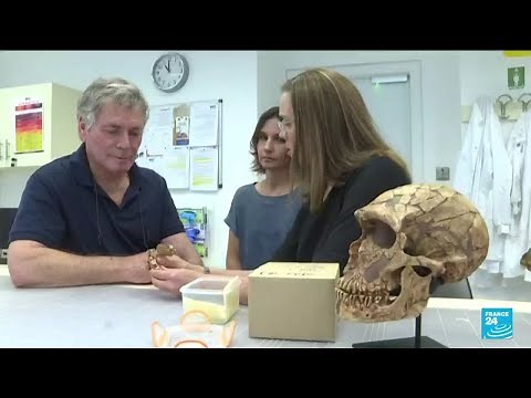 'Dragon Man': Scientists say new human species is our closest ancestor
