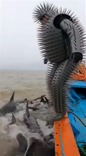 POV: You Jump Into a Shark Frenzy in a Spike Suit 🦈.#shorts