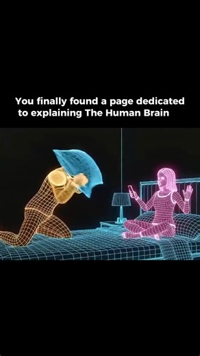 Our Brain Explained on Instagram: "🧠 The Human Brain is the most complex biological system in the known universe—an advanced neural network weighing ~1.3–1.4 kg that functions as the control center of the human body. This powerful organ regulates vital life functions, processes sensory input, controls movement, and drives cognition, memory, emotion, language, decision-making, and consciousness. Despite centuries of neuroscience research, brain science continues to reveal new discoveries about n