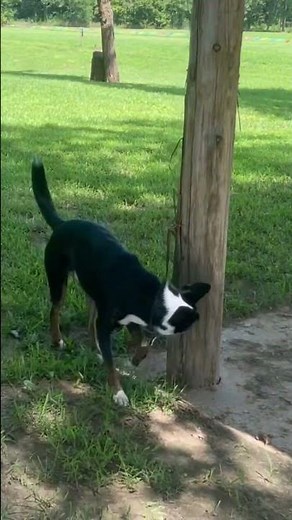 Dirty 908 off road park camp sites in Missouri