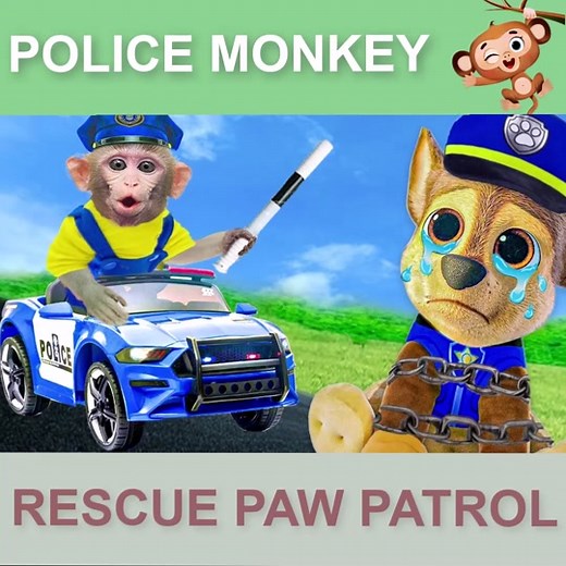 Monkey rescue Paw Patrol #kiki #monkey #kudoanimalkiki #smartmonkey #babymonkey #pawpatrol
