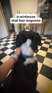 HONEST REVIEW after 30 days: “My Labrador used to bark at every noise. Nothing worked until now. Two weeks in and he’s calm, cuddly, and finally relaxed!” – Emma R. ⭐⭐⭐⭐⭐ 🐶 Eases barking & anxiety fast 🌿 Natural herbs like chamomile & valerian 😌 No drowsiness — just daily calm 👉 Shop now & help your pup relax naturally! | Nutri Paw