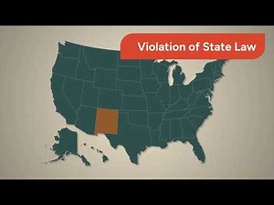 Citizen's Arrest in the USA (Citizens Arrest Series)