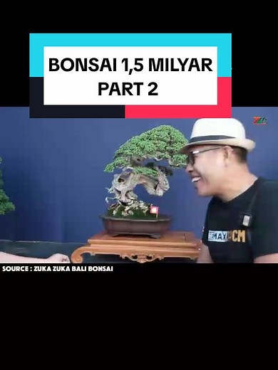 Unboxing Bonsai: Part 2 - Aesthetic Compilation