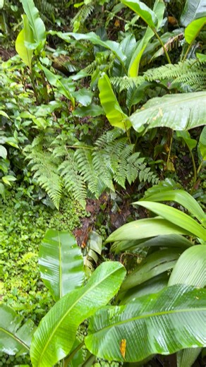 Taylor Stanberry on Reels