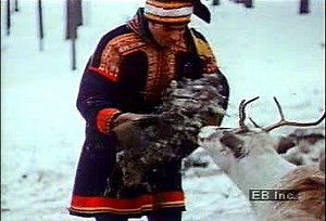Sami Reindeer Herdsman on Rising Farming Issues | Britannica