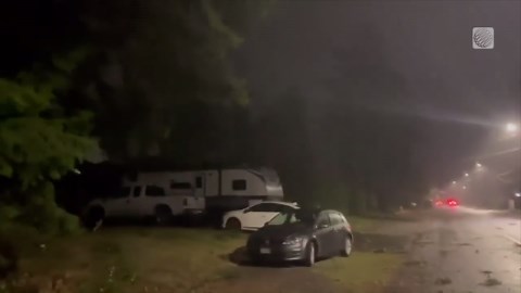 Tree debris scattered on residential street in Nanaimo, BC