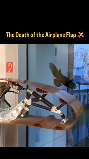 The days of heavy mechanical flaps might be numbered. Aerospace engineers are developing flexible composite airfoils that smoothly morph their shape in real-time to match the perfect angle of attack. By using smart materials and tailored carbon fibers, these wings mimic birds-eliminating drag, slashing fuel costs, and making flights incredibly smooth. #pilotsoftiktok #pilotlife #avgeek #aviationlovers #pilot