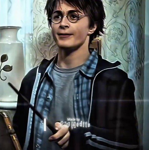 Bro likes phonk | Harry Potter edit | Lua Na Praca | @Chaise on Tiktok #harrypotter #recommended